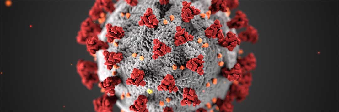 coronavirus